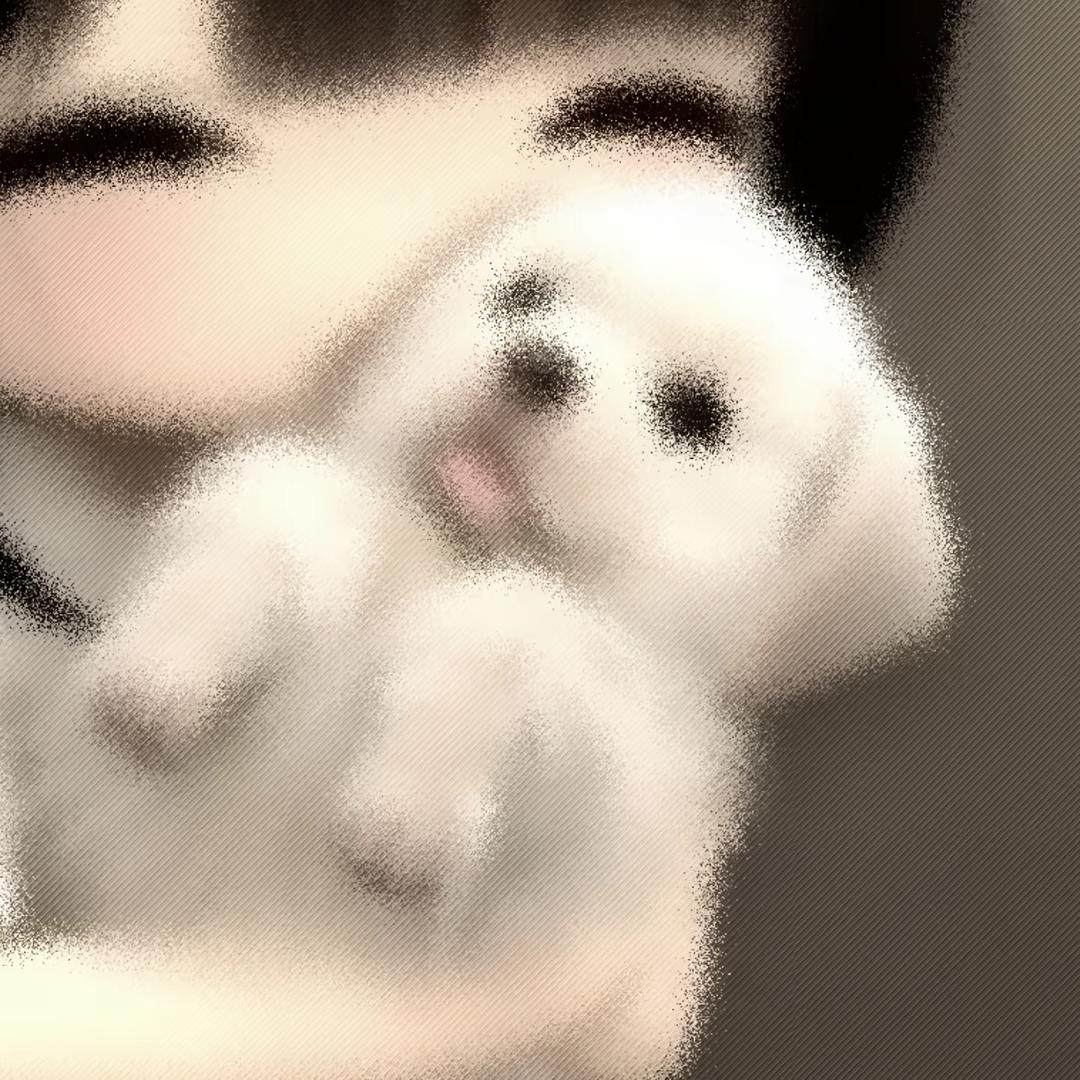 枇杷花