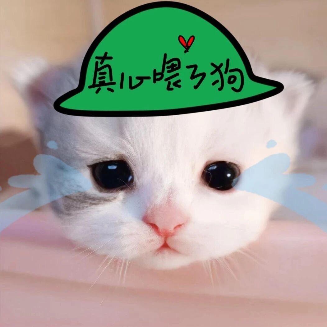 有点小失眠°