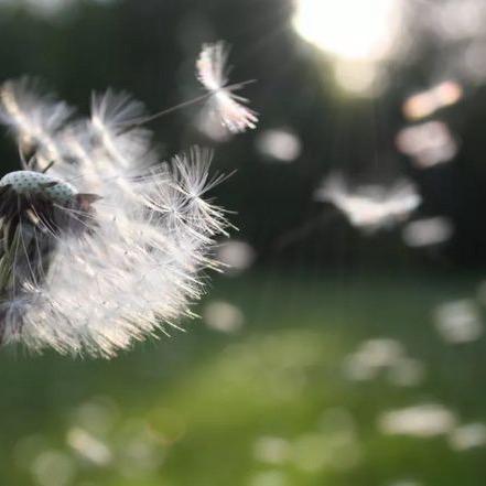 我与时光皆薄凉