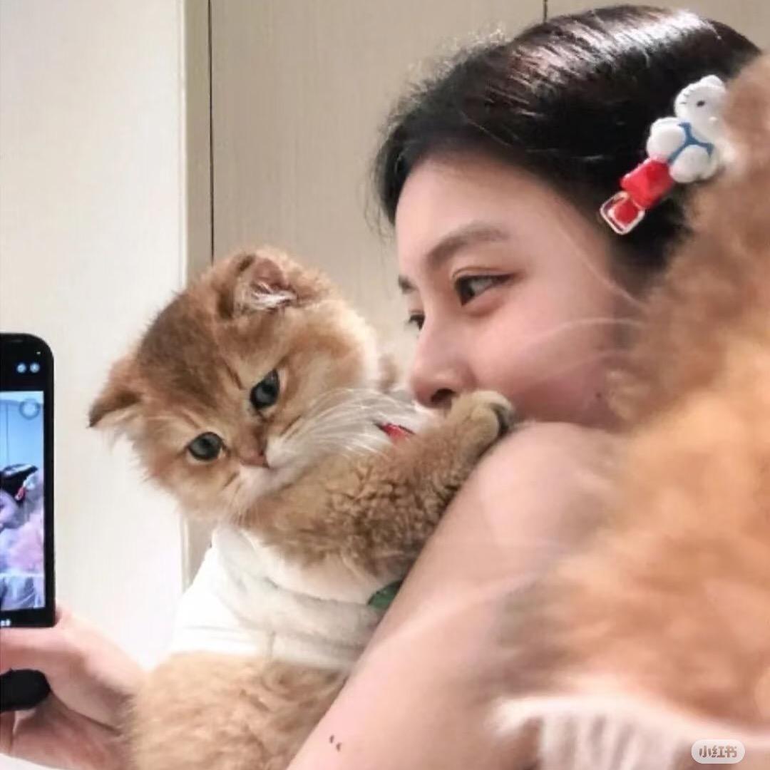 不是肉丸子