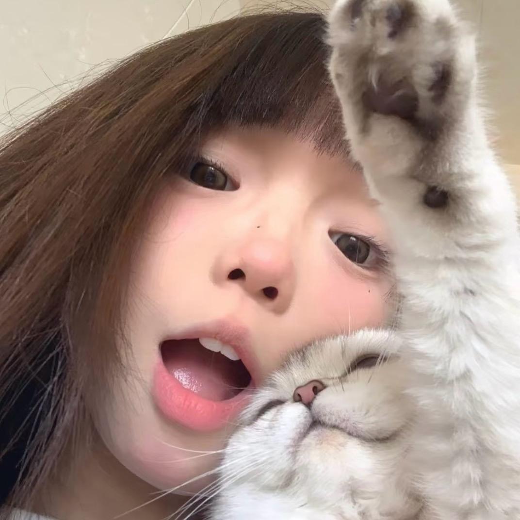 二小只的快乐星球