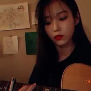 弹吉他的鸽子