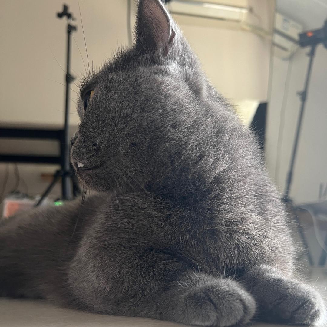 牛爷爷