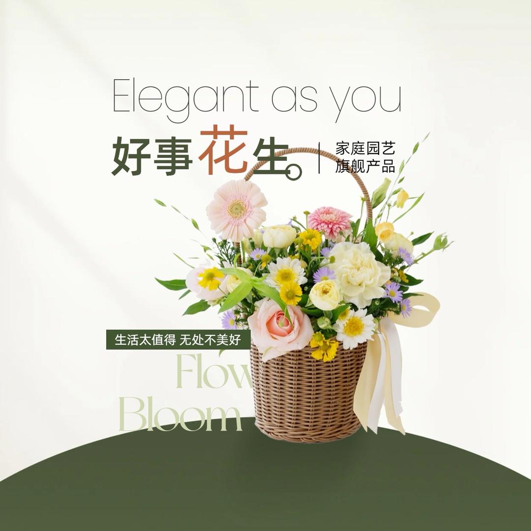 家庭园艺养护专家