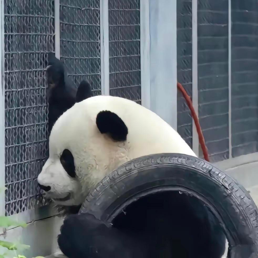床头柜