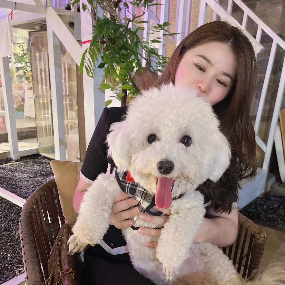 郭老板宠物围栏（宠物用品）