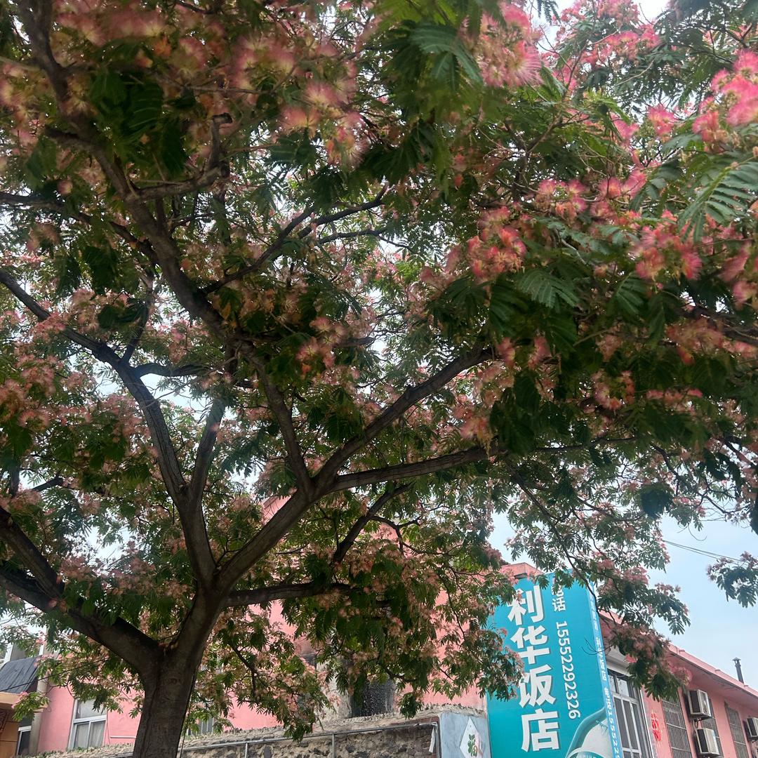 泡芙