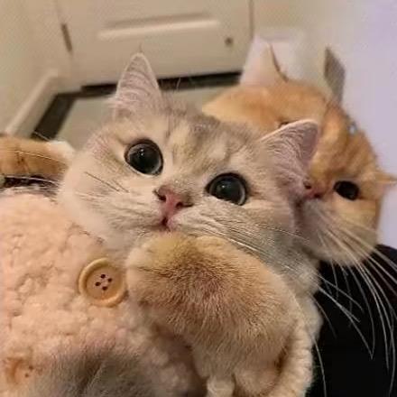 于妹