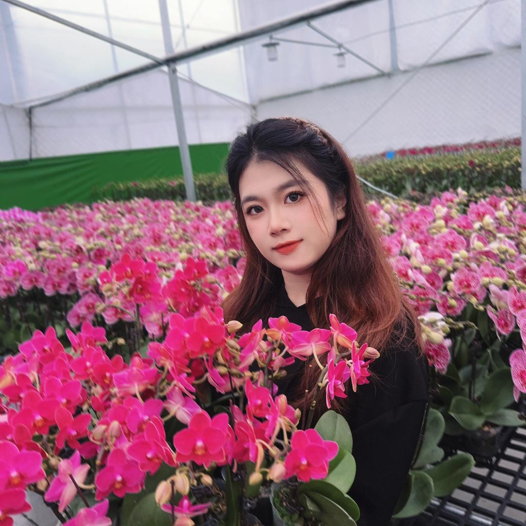 一琳源头花卉的头像