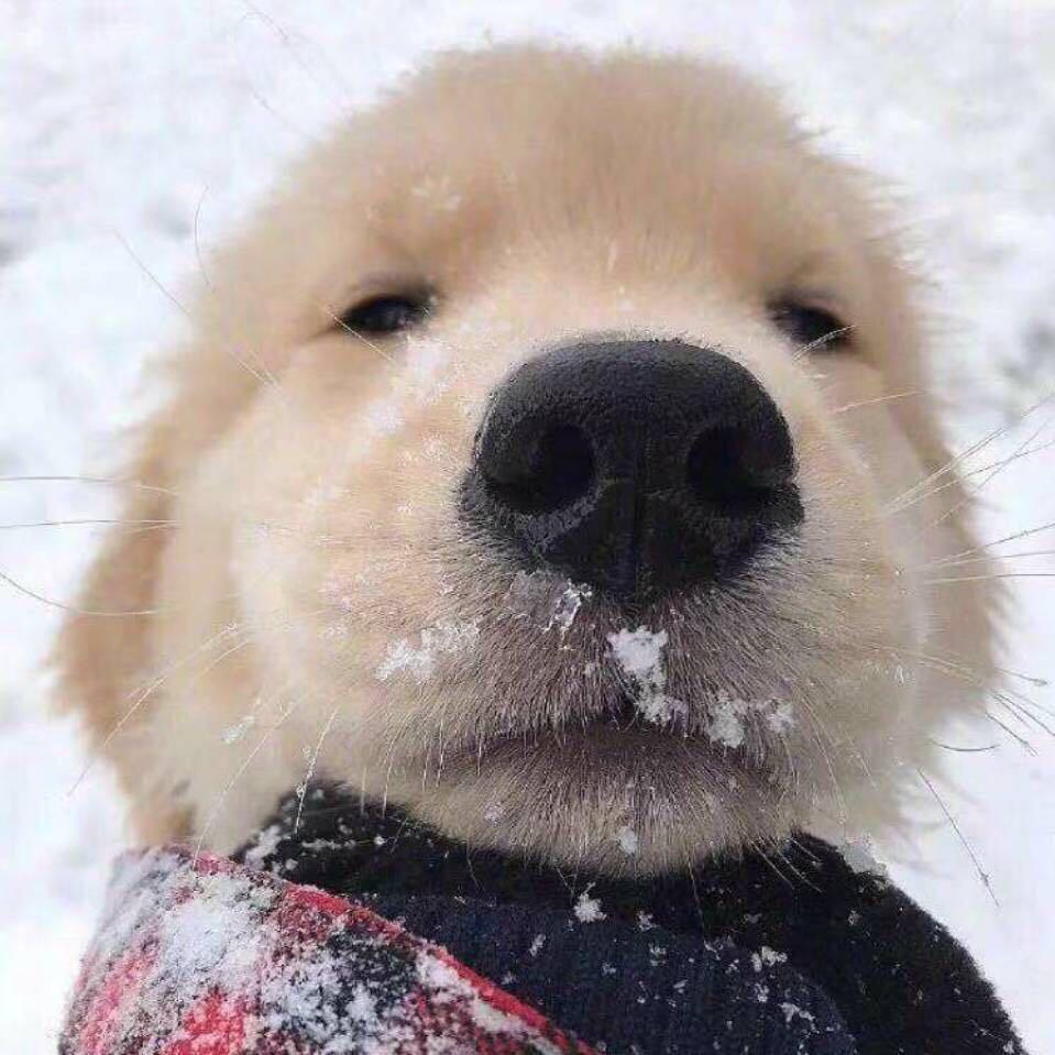 ❄️