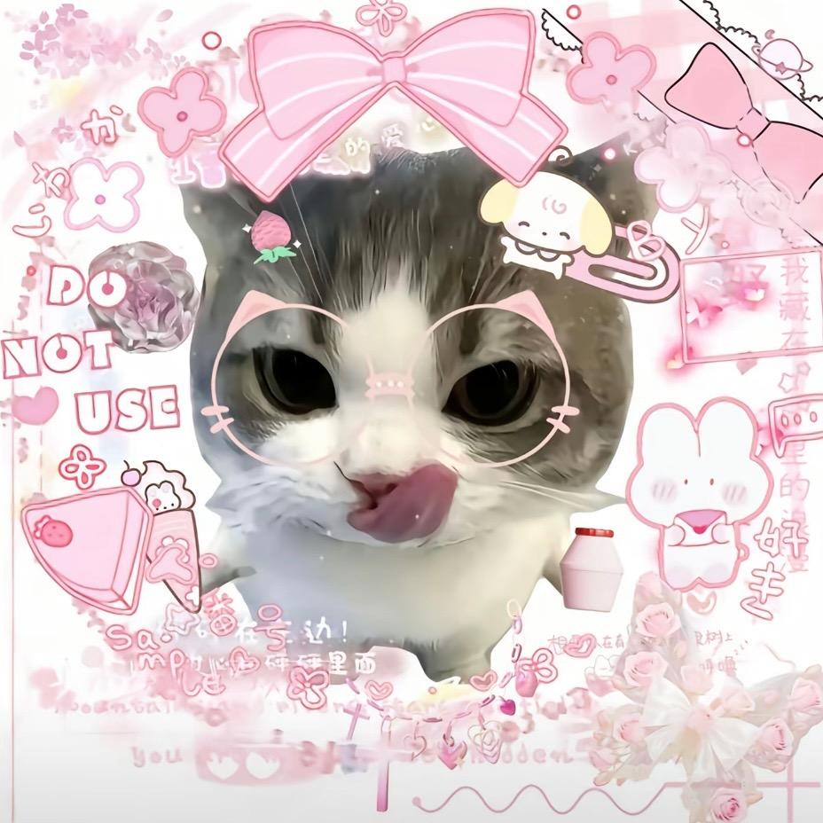 怀瑾月