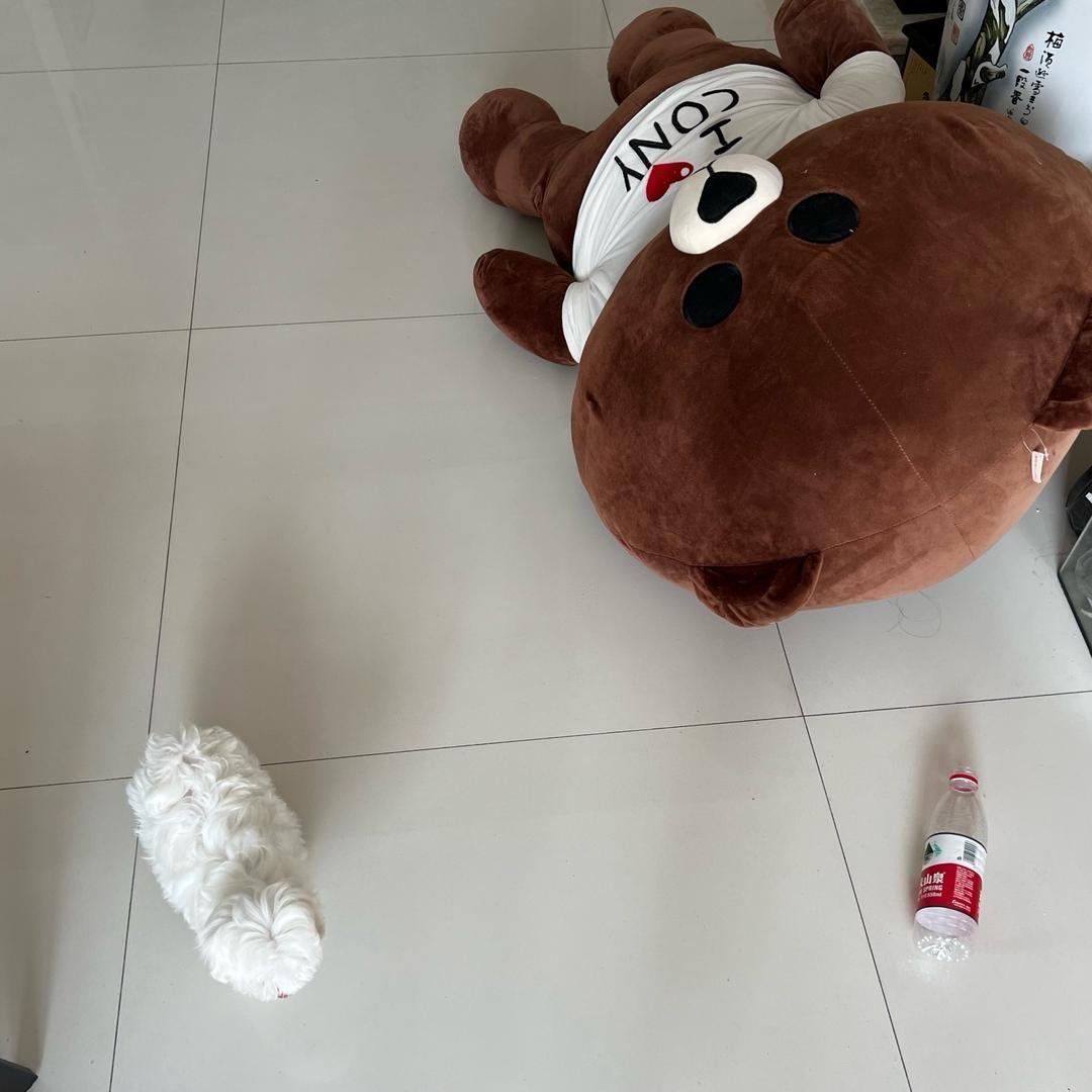 嗯哼