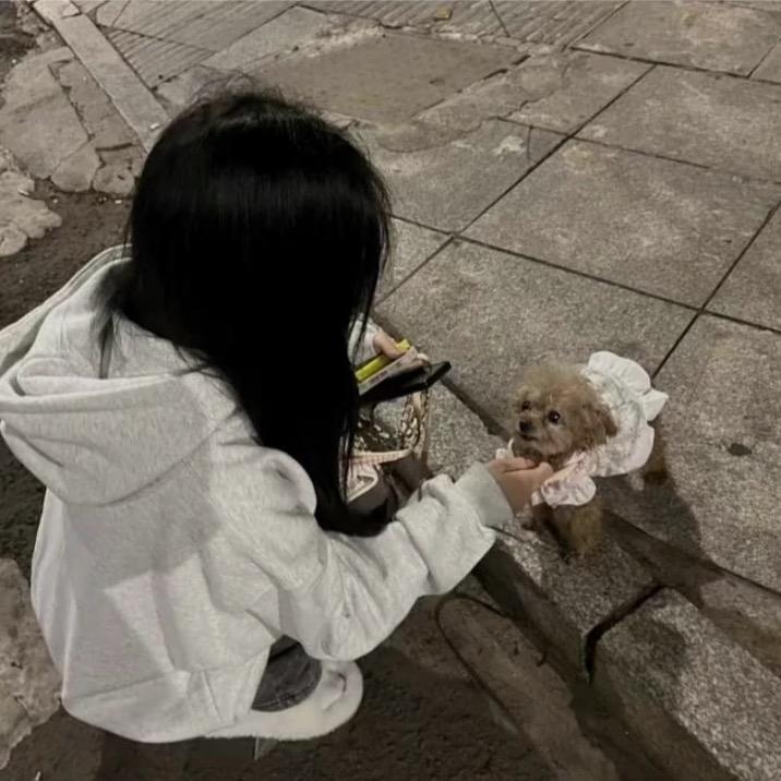 不眠岛🥥