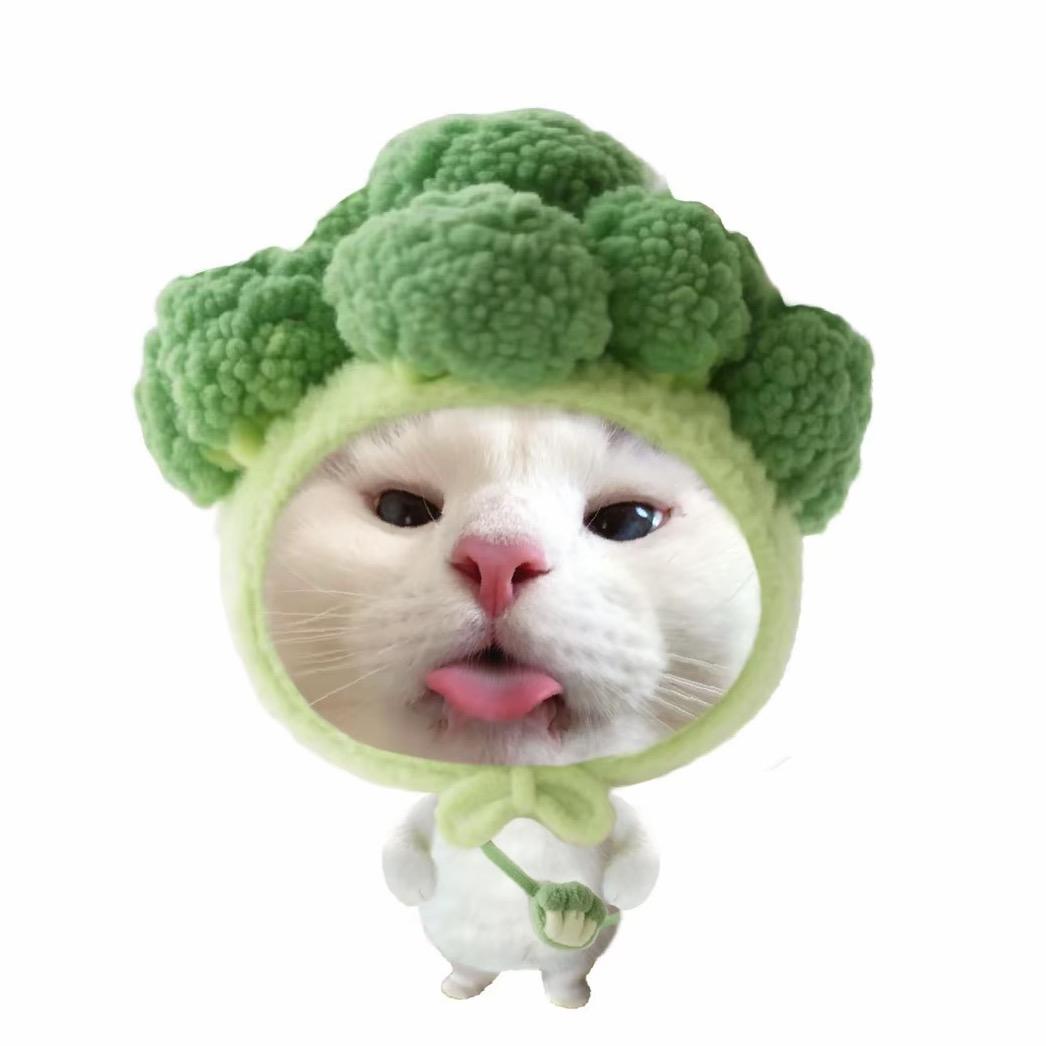 ioveu晗🍀
