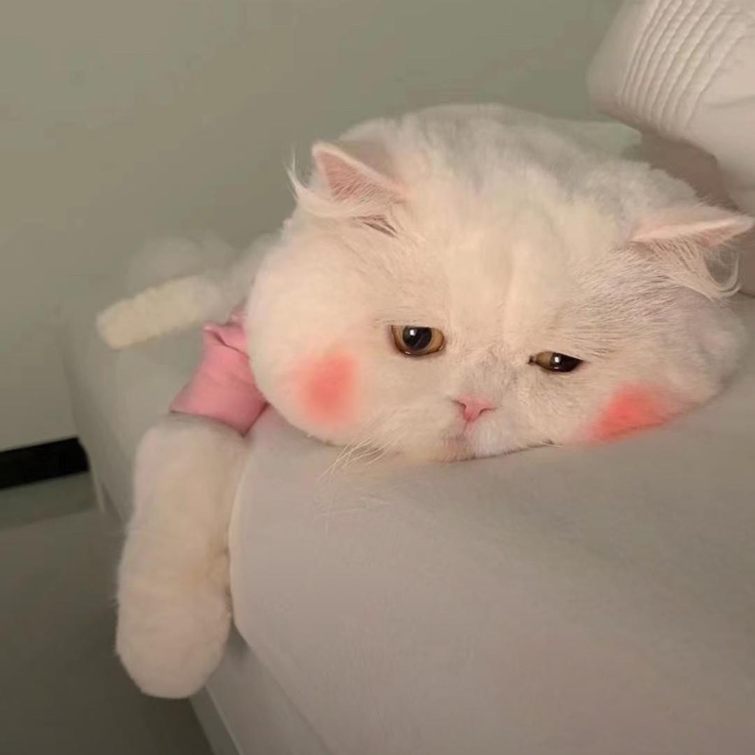 🐰.