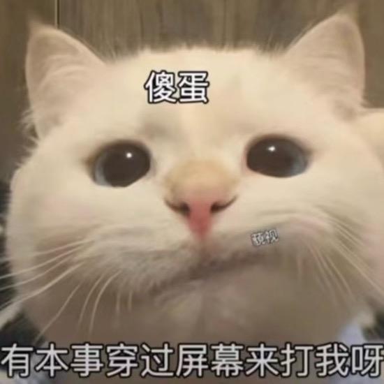 傻乎乎蛋
