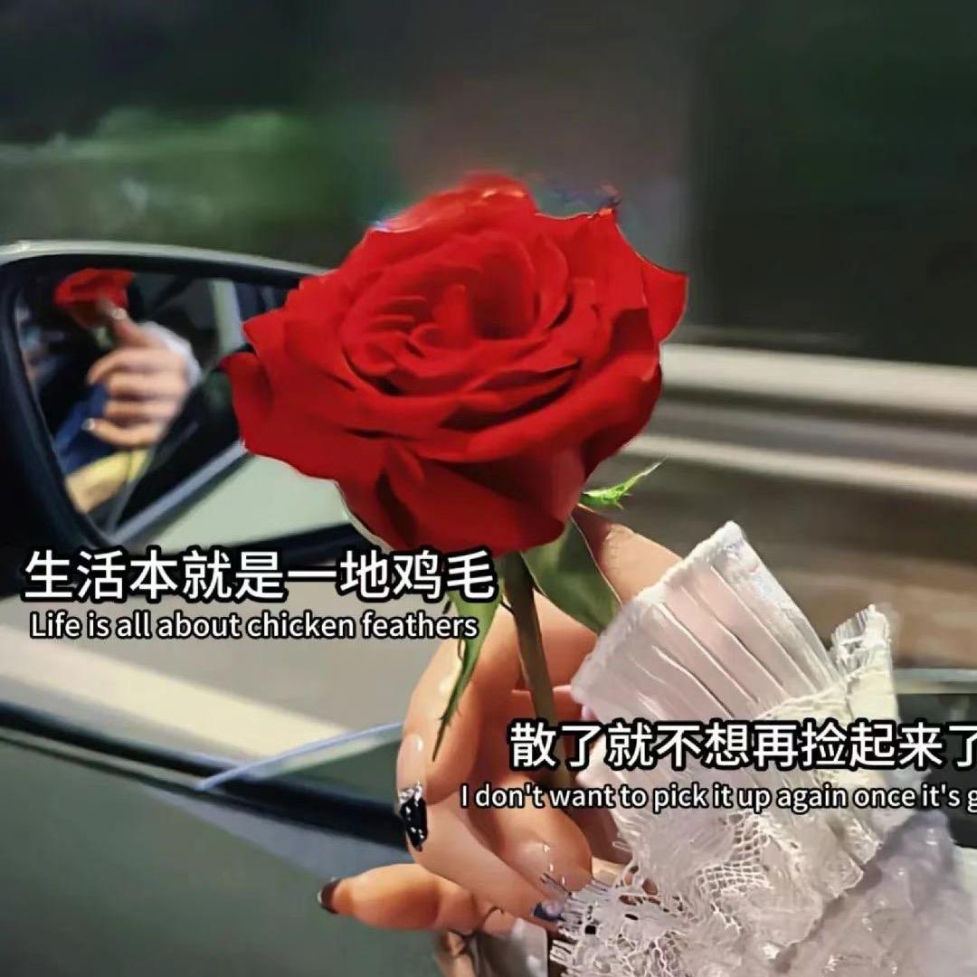 真挺好