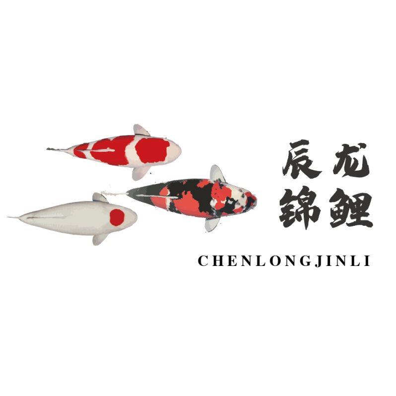 孟杰（ 辰龙锦鲤 ）