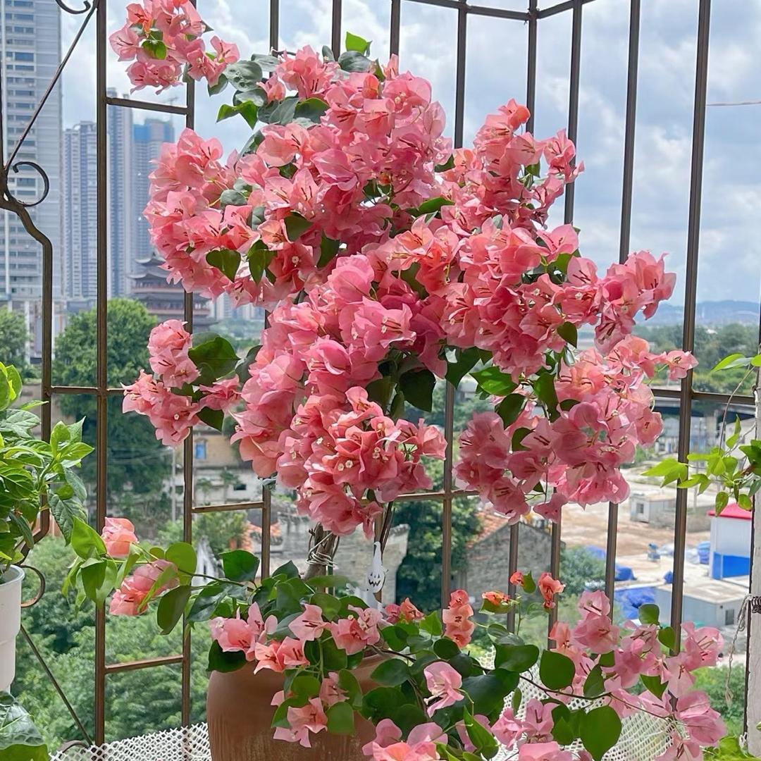 壹涧花坊