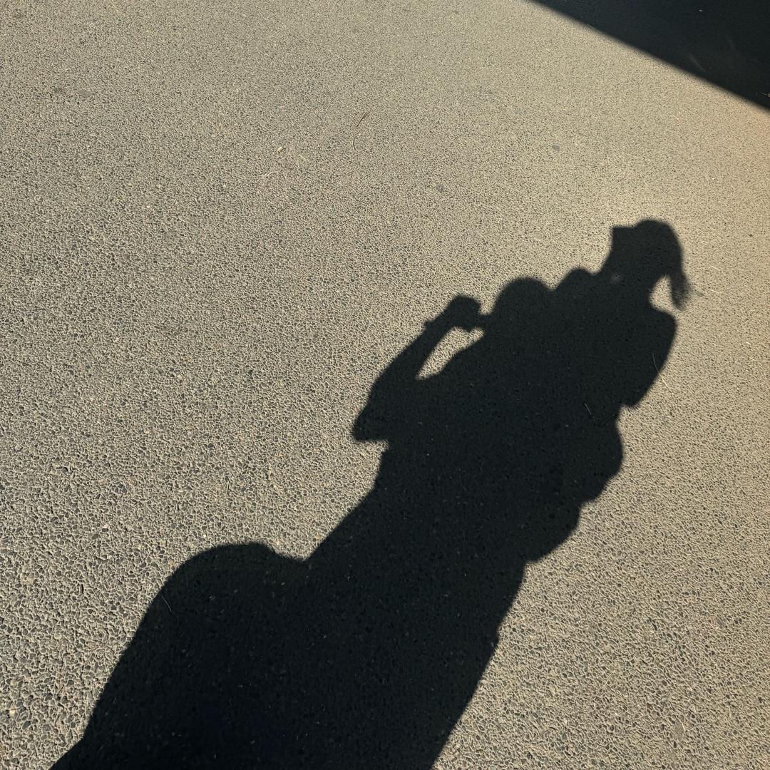 沈阳金元宝数码分期