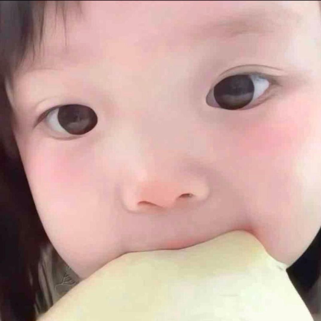 小猫体质