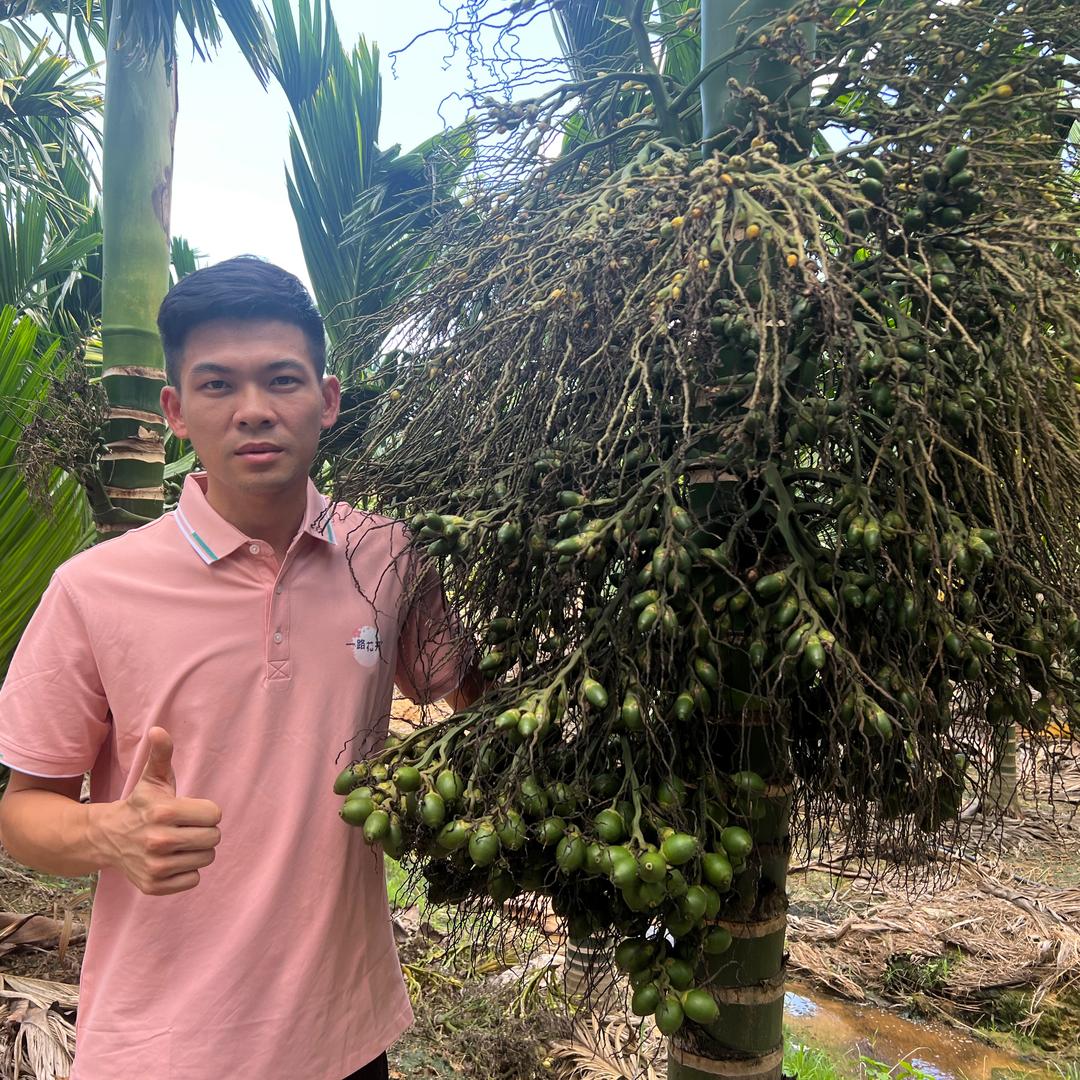 卖农资的符总@小农人