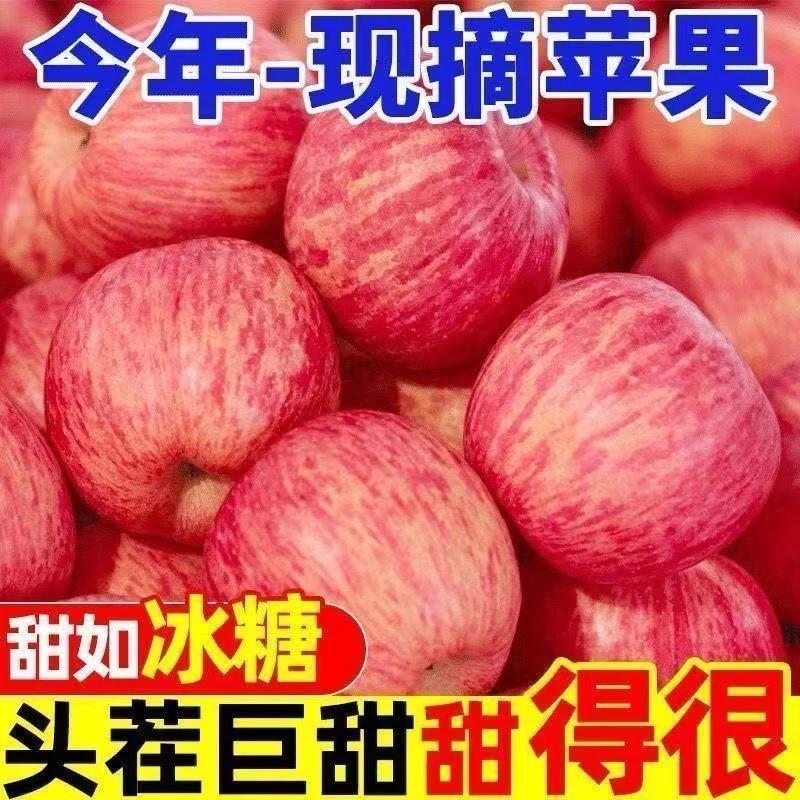 诚信鲜果园2