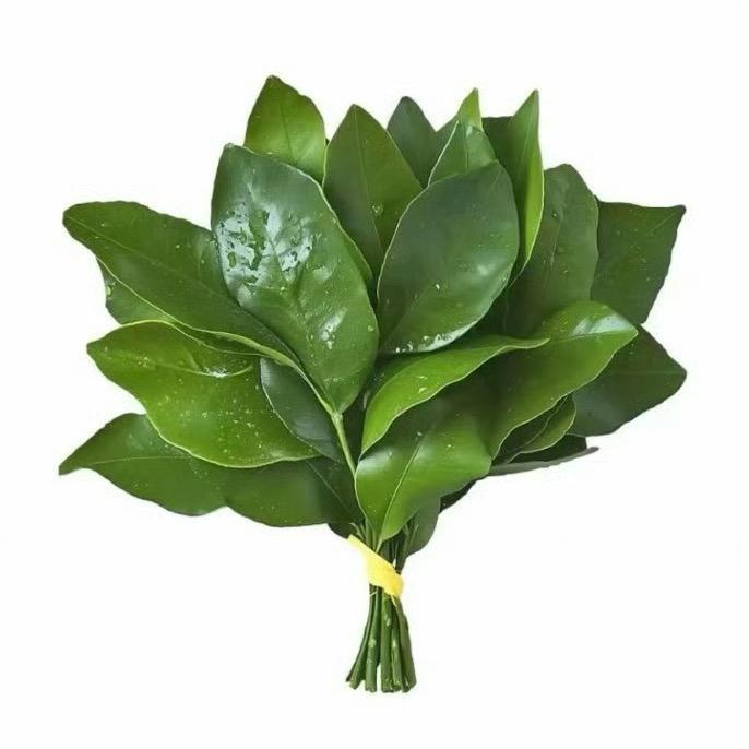 今天吃什么