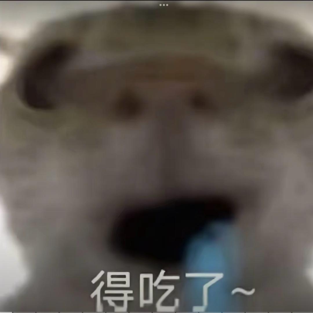 溪桥（鼠鼠跑刀第一天）
