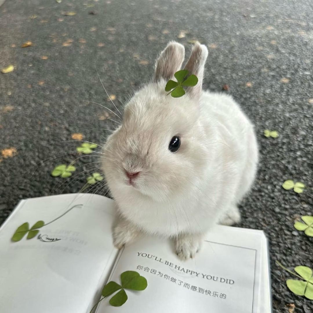 静静.