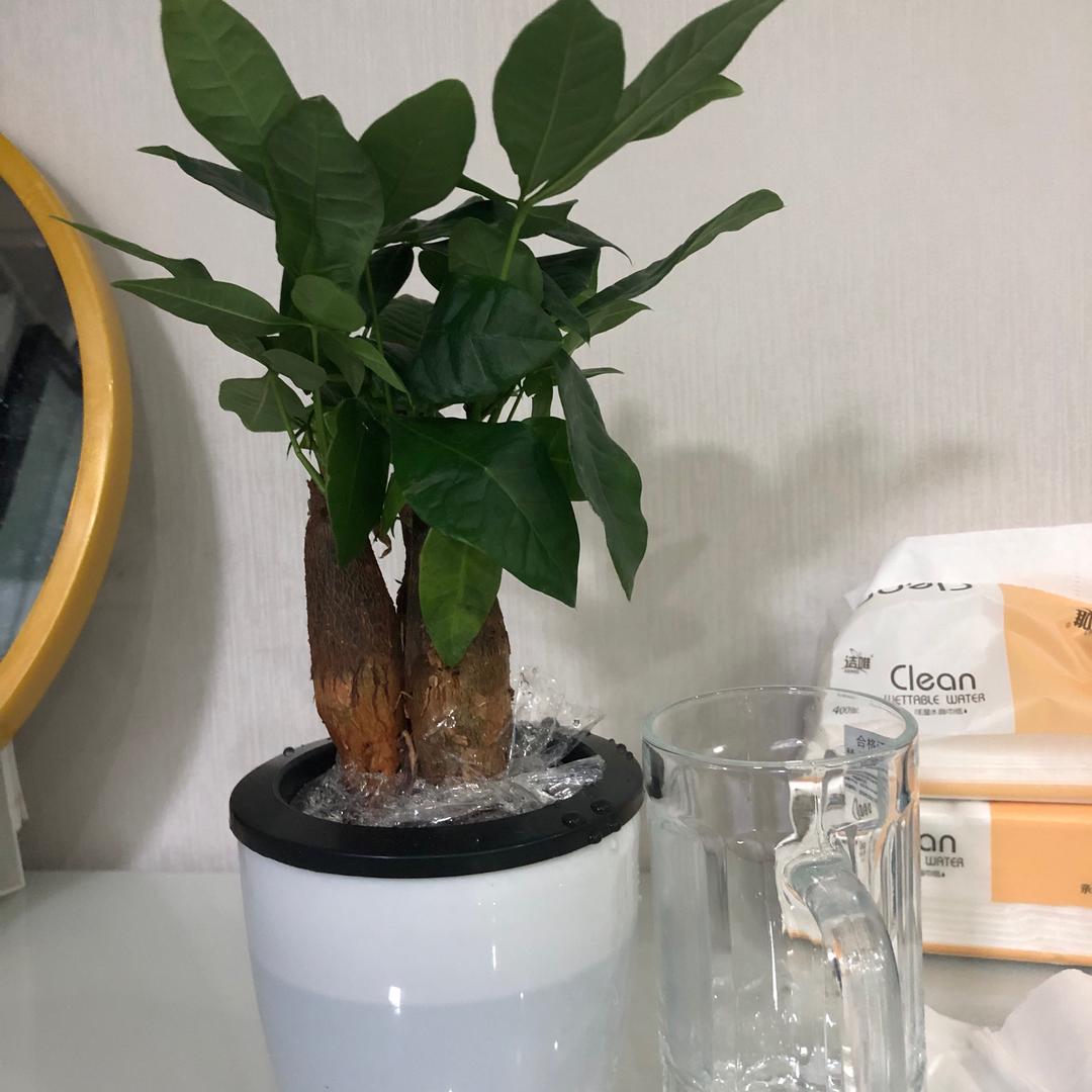 @销