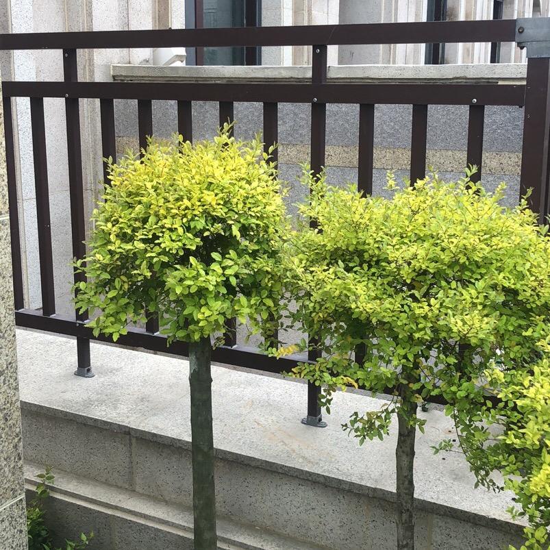 愿为朋友办好事