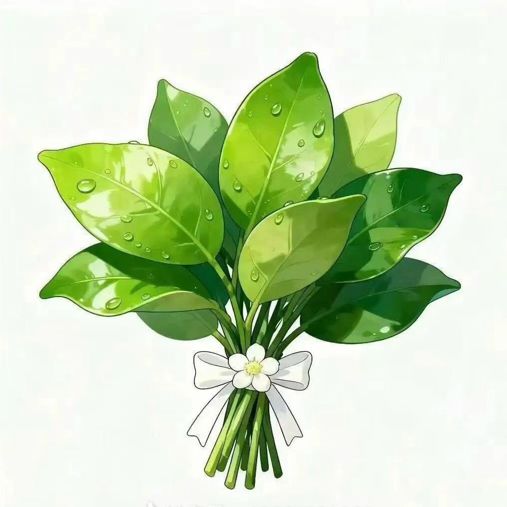 ᥫᦱᐝ喜上眉梢ཀོ࿐