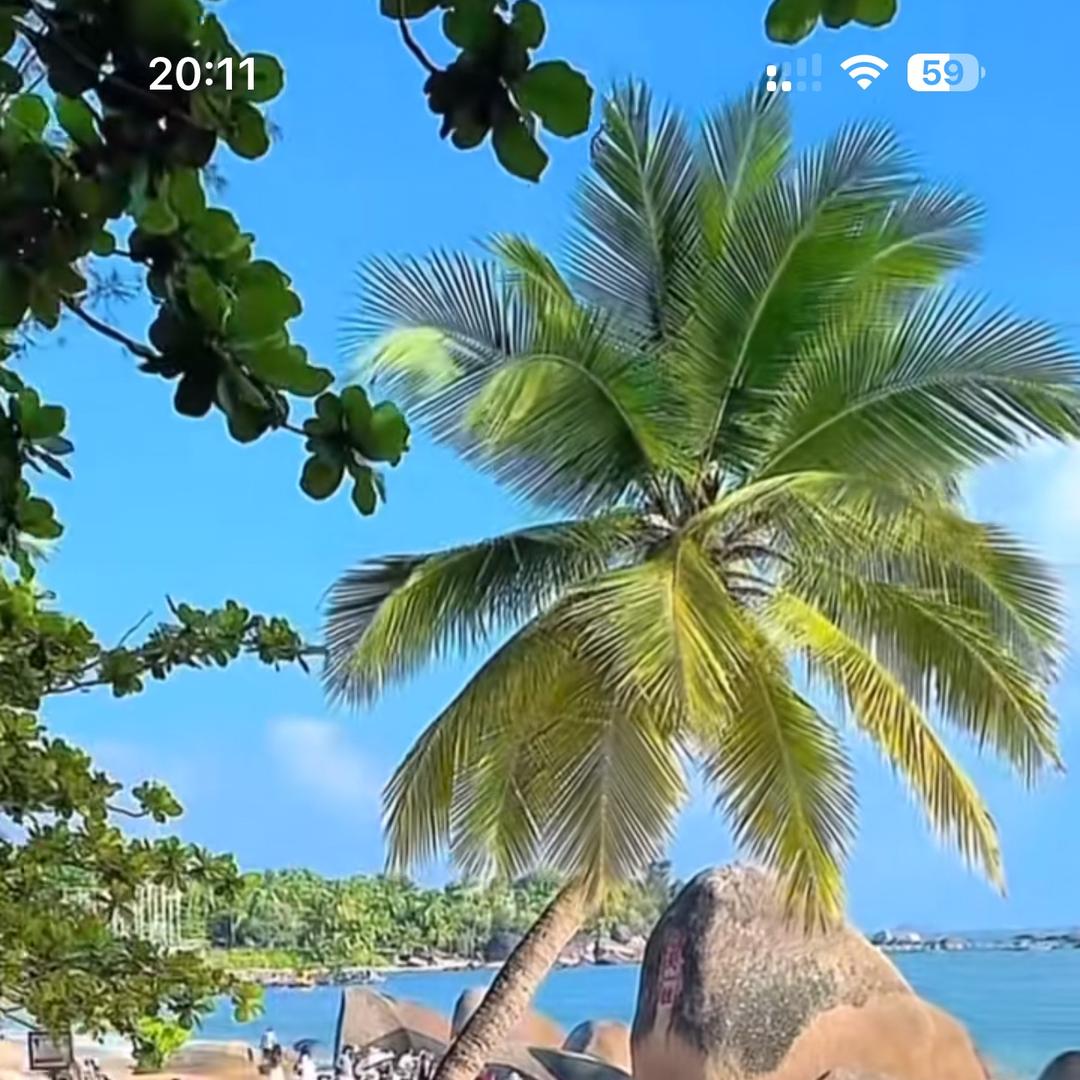 捕风捉景คิดถึง࿐