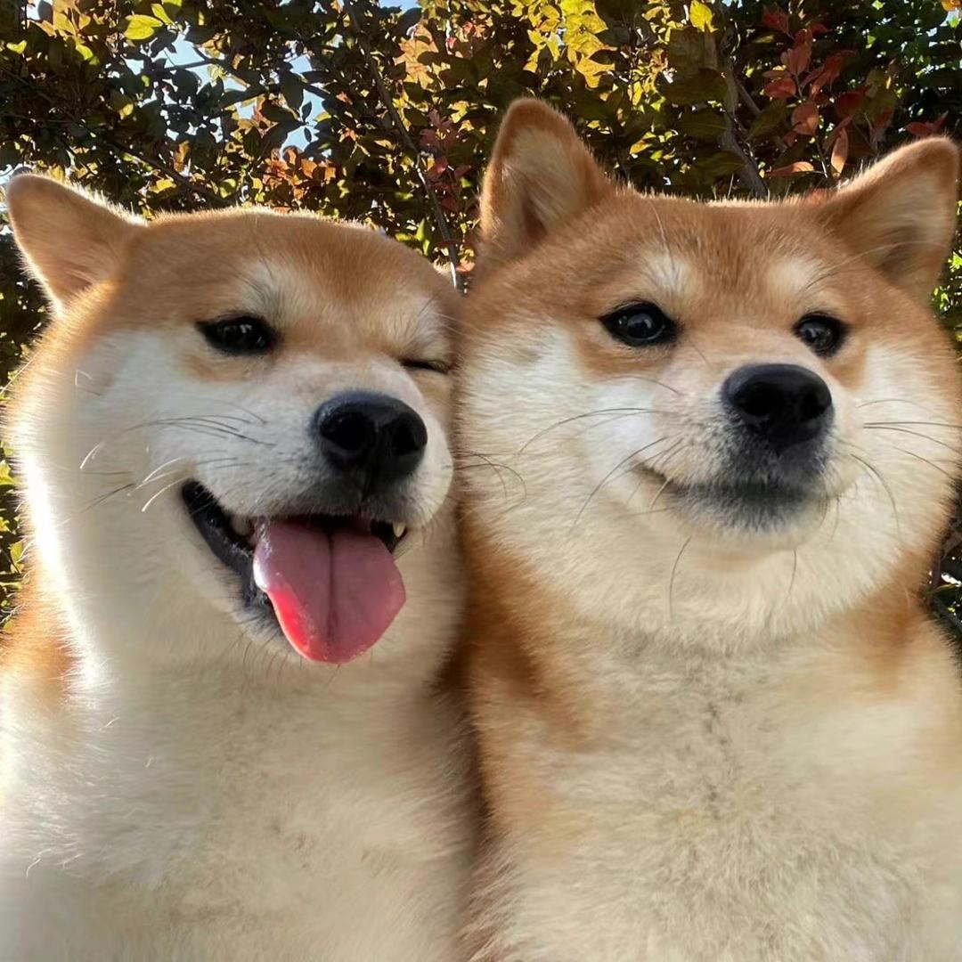 看朱一龙的电影不睡觉