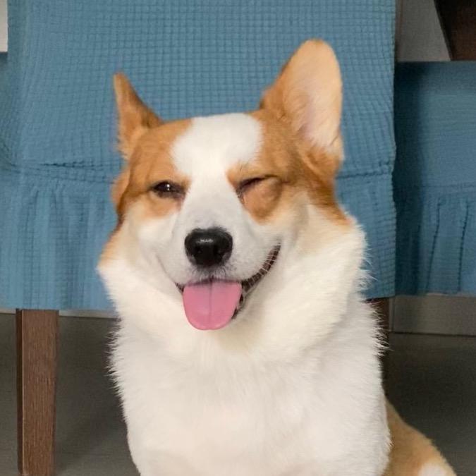 肥基moto