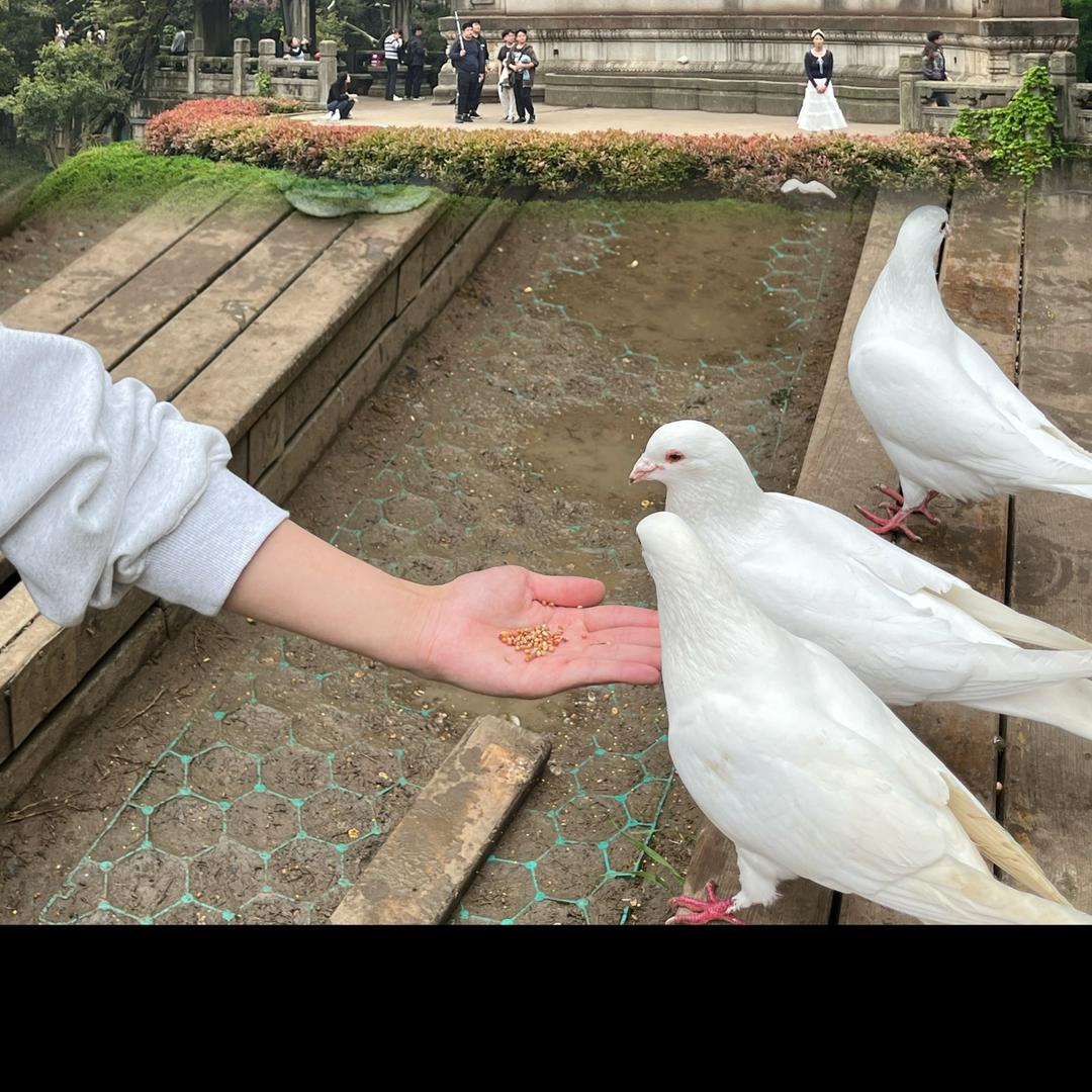 有趣的灵魂