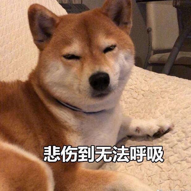 闪闪发光777