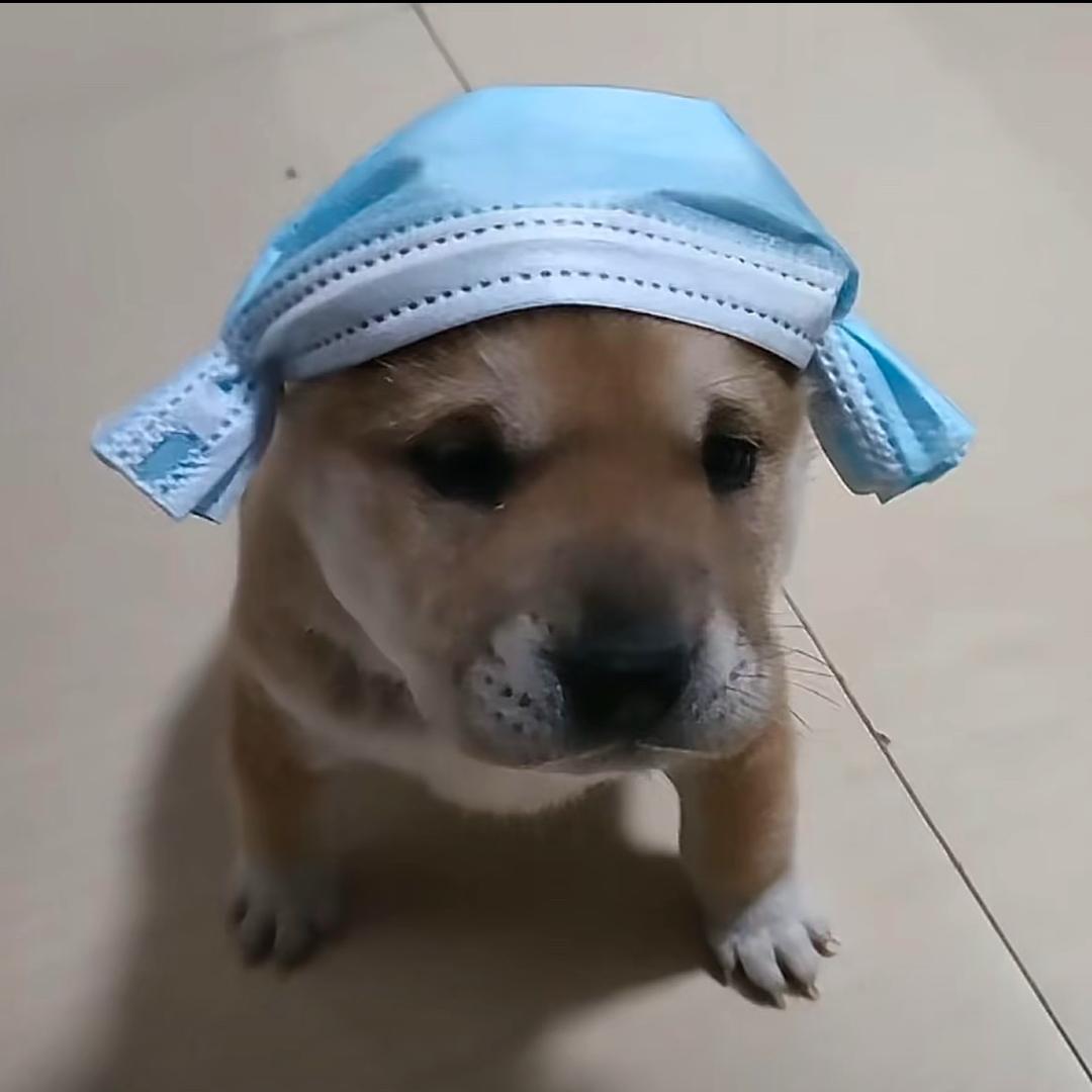 奇迹行者(腾格里沙漠高反下撤版)