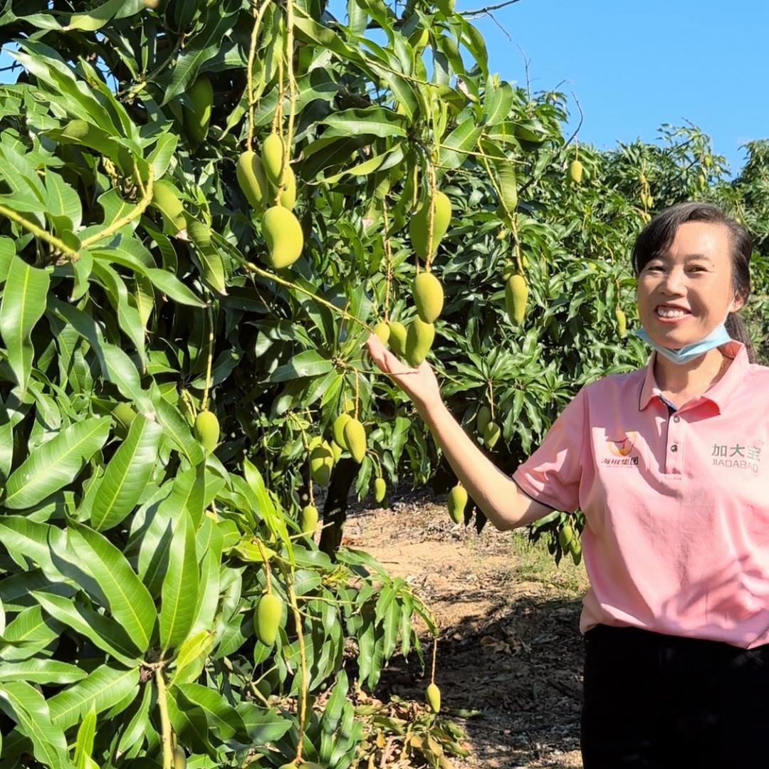 三亚立才恒新辉农资