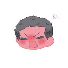 昭瑞xh