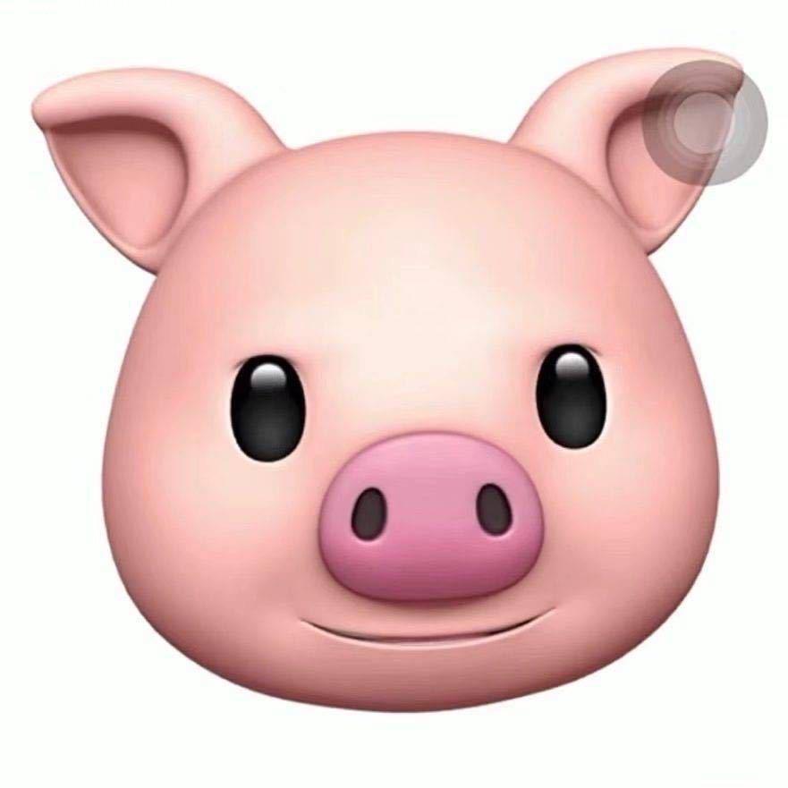 猪猪包