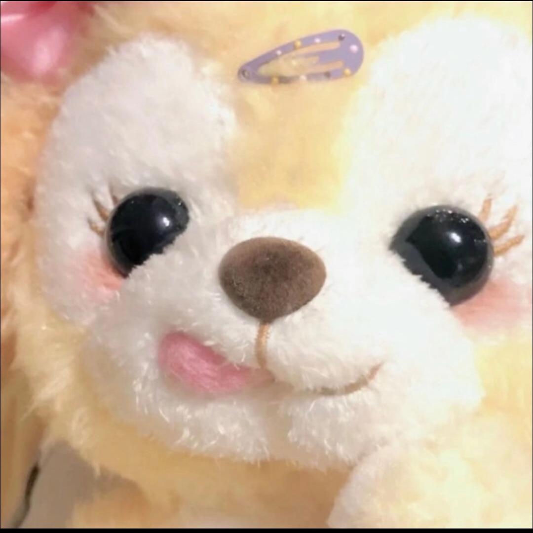 碎碎曲奇