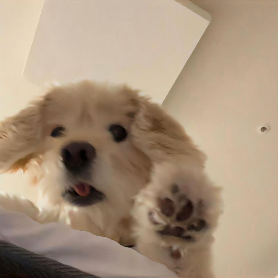 VV