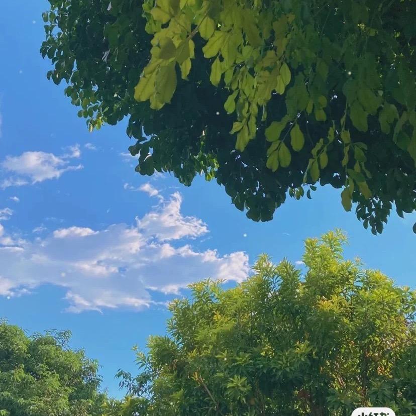 🌿田蜜蜜