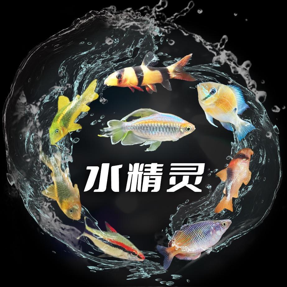 天津鱼多多