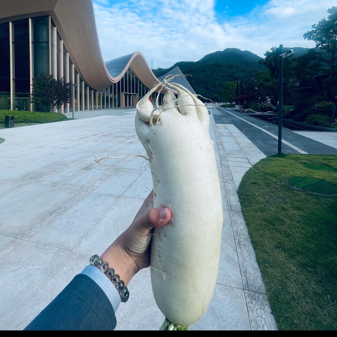 南山等风也等你
