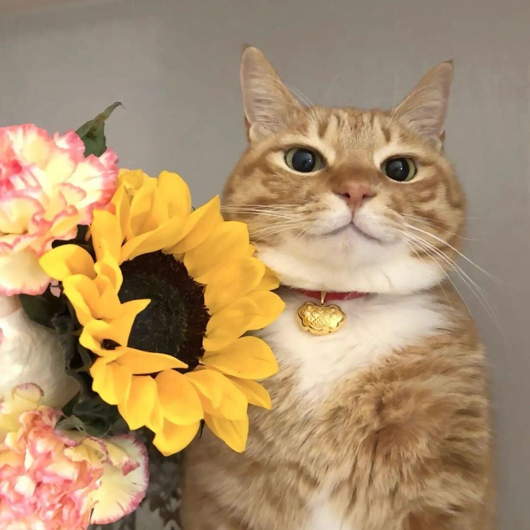 桃喜的创业日记