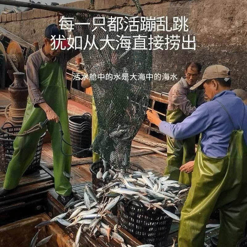 航海猫海鲜旗舰店阿猫海鲜