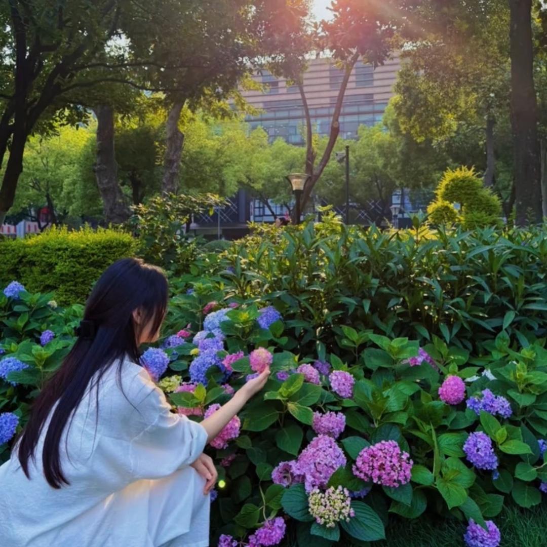 李胖了